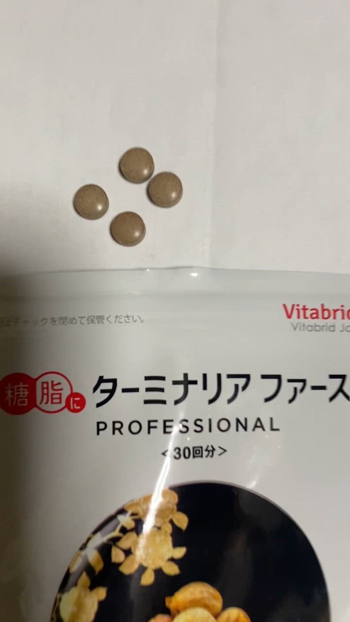 ターミナリアファースト プロフェッショナル4 [ リニューアル最新版