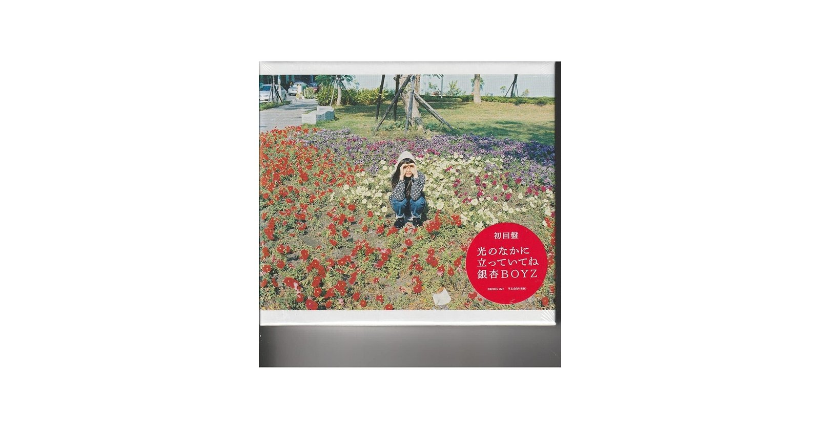 Amazon.co.jp: 初回盤アルバム銀杏BOYZ 光のなかに立っていてね 峯田